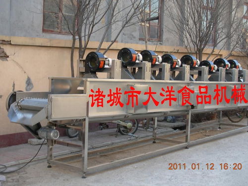 食品風(fēng)干設(shè)備 諸城市大洋食品機(jī)械廠